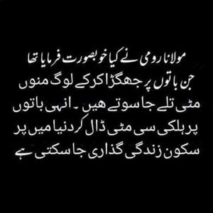 Meet your Posher, Fadia